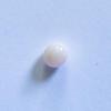 Conch Pearl Small White Oval 5mm