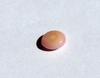 Conch Pearl Soft Pink Oval 8mm