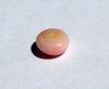 Conch Pearl Soft Pink Oval 8mm