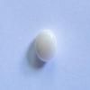 Conch Pearl White 8mm 1+ carat Oval 