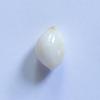 Conch Pearl White oval 2+ carat 9mm