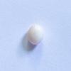 Conch Pearl White Oval 6mm