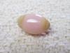 Conch Pearl with Flame Light Pink Oval 2+ carats