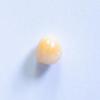 Conch Pearl Yellow Oval 1+ carat 6mm 