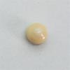 Cream Colored Quahog Pearl with Original Shell for Sale