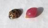 Dark Pink Conch Pearl Oval 1.05 carat