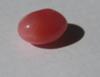 0.88 carat Dark Pink Conch Pearl with Flame