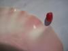 3.60 carats Dark Pink Conch Pearl