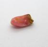 Deep Pink Conch Pearl Baroque Shape with Ugly End