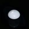 Disk Shape Clam Pearl 9+ ct 12mm with Flame