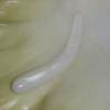 Elongated Clam Pearl 10.4 ct