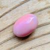 13.15carat pink conch pearl