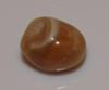 0.65 carat light brown conch natural pearl