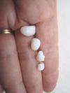 Four Curly Natural Clam Pearls 16 carats Total