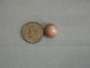 GIA-certified natural quahog clam pearl, 10 ct