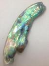 Gorgeous Natural Abalone Wing Shaped Pearl 