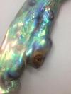 Gorgeous Natural Abalone Wing Shaped Pearl 
