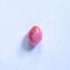 Gorgeous Pink Conch Pearl Oval 6mm 