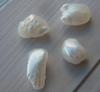 Group of 4 Natural USA Freshwater Pearls