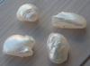 Group of 4 Natural USA Freshwater Pearls