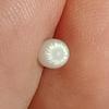Half Carat+ Clam Pearl for Sale Drop Shape