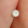 Half Carat+ Clam Pearl for Sale Drop Shape