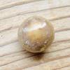 Big Brown Conch Pearl Perfect Disk Shape