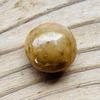 Big Brown Conch Pearl Perfect Disk Shape