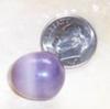 17mm Purple Quahog Pearl