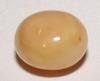 Light Brown Conch Pearl 2.6 carats