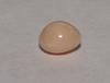 Light brown Conch Pearl