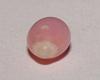 Light Pink Conch Pearl 10mm