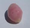 Light Pink Conch Pearl with Dark Pink Spots 6.86 carats