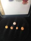 Lot of 5 Conch Pearls Rare & Unique 