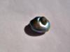 6.5ct abalone pearl