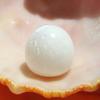 Magnificent Clam Pearl of 22.25 ct