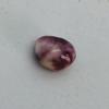 Mottled Purple Quahog Pearl for Sale