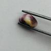 Mottled Purple Quahog Pearl for Sale