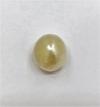 Natural 9mm Basra Pearl  Button Shape DANAT certificate