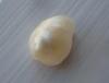 Baroque Natural Freshwater Pearl