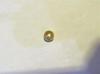 Natural Basra Loose Pearl from Arabian/Persian Gulf 2 carats