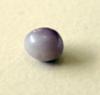 Lavender Natural Pearl