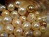 Natural Mississippi River Pearls
