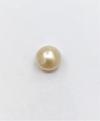 Natural Pearl Button Shape Persian Gulf Basra 