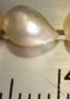 Natural Pearl from Mozambique