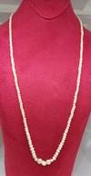 Natural Pearls Basra Persian Gulf Necklace