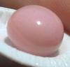 Natural Pink Conch Pearl 11 carats