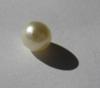 Natural Saltwater Pearl