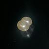 Natural Saltwater Pearl 3+ ct