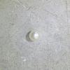 Natural Saltwater Pearl 4mm Round Shape